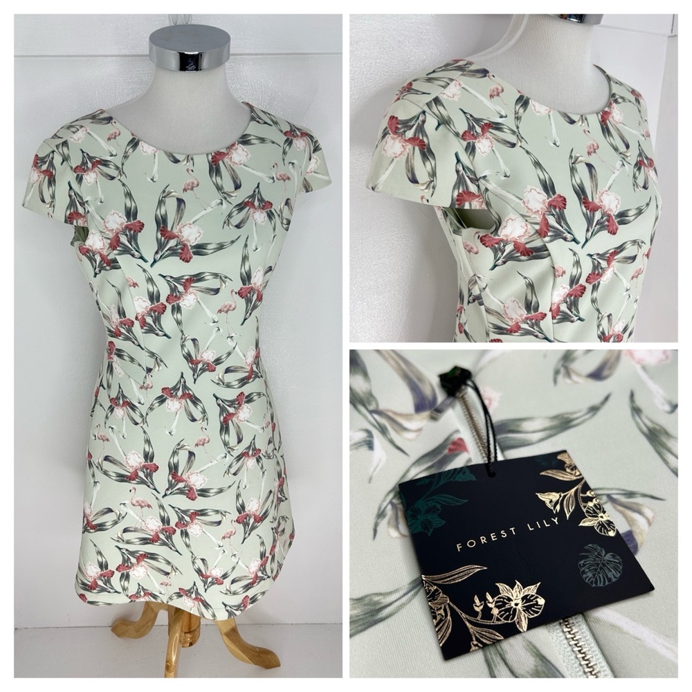 Forest Lily NWT Green Floral‎ Shift Dress Size 8 Flamingo Birds of Paradise NEW